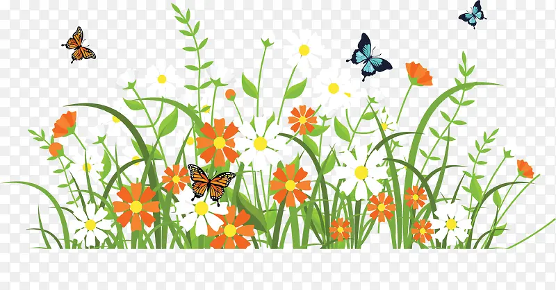 春天花丛飞舞的蝴蝶