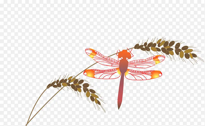 免抠素材枝头的蜻蜓