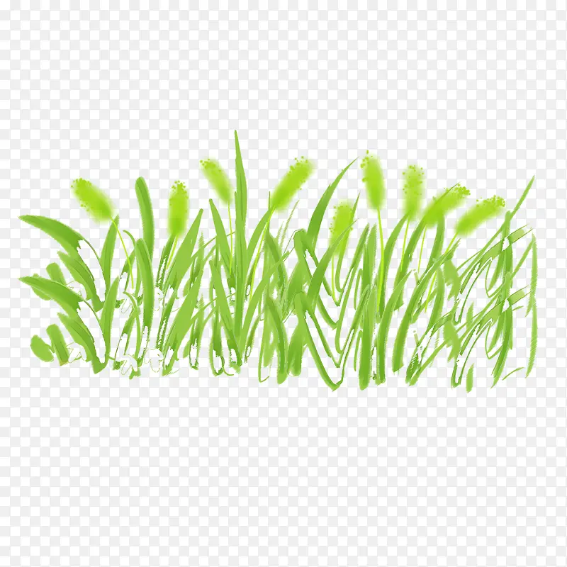 可爱绿色植物狗尾草