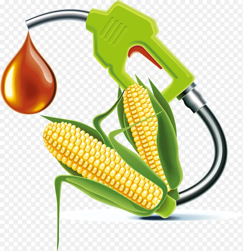 玉米植物油榨油机元素