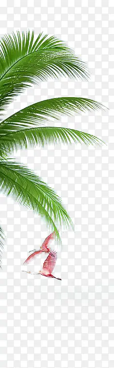 绿色热带椰子叶