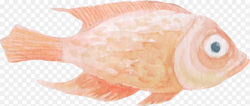 粉色手绘的海洋鱼