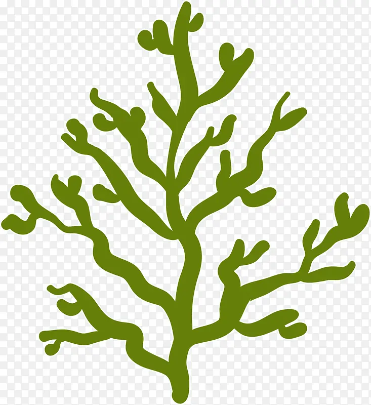 绿色扁平海底珊瑚