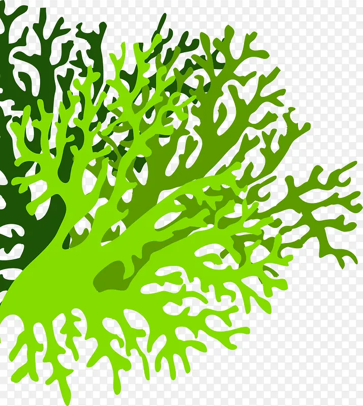 唯美绿色珊瑚