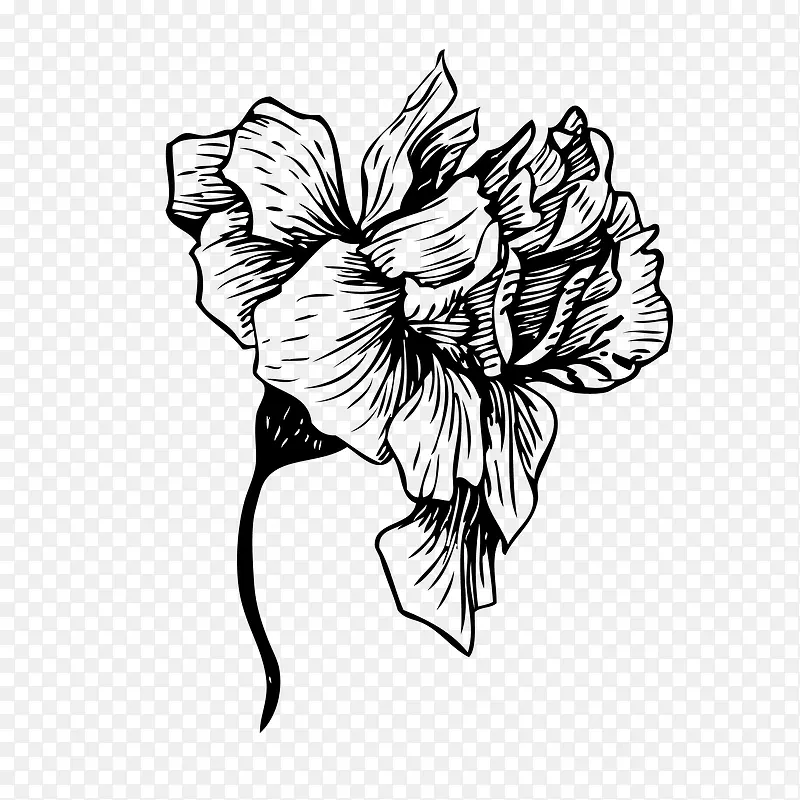 黑白手绘花卉装饰