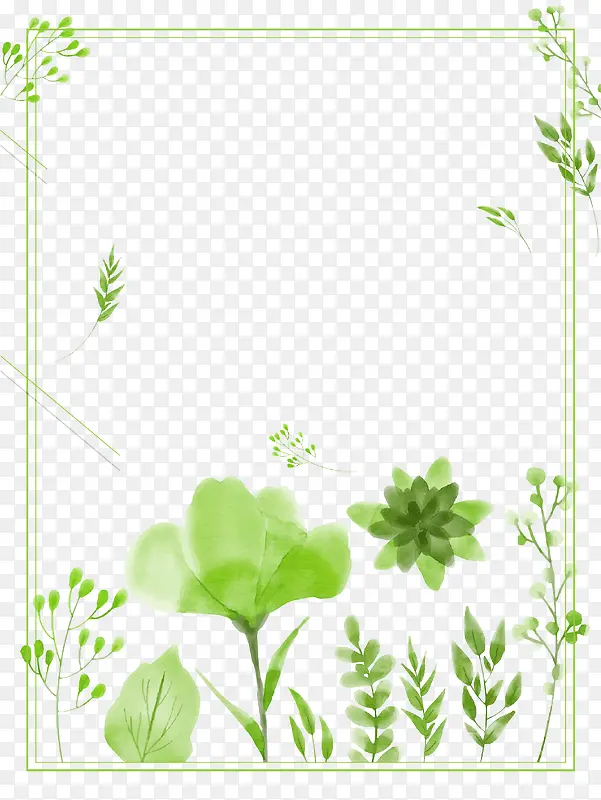 绿色清新唯美花朵边框