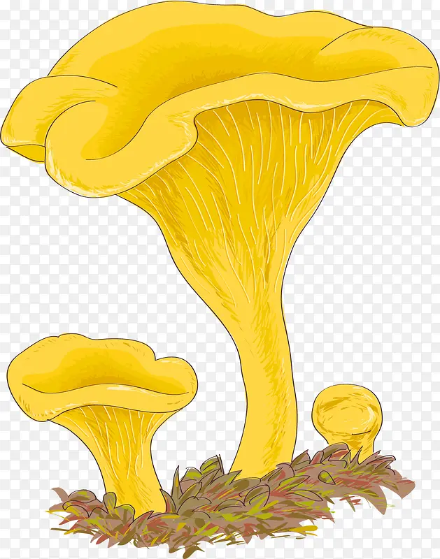 黄色矢量松茸菇类
