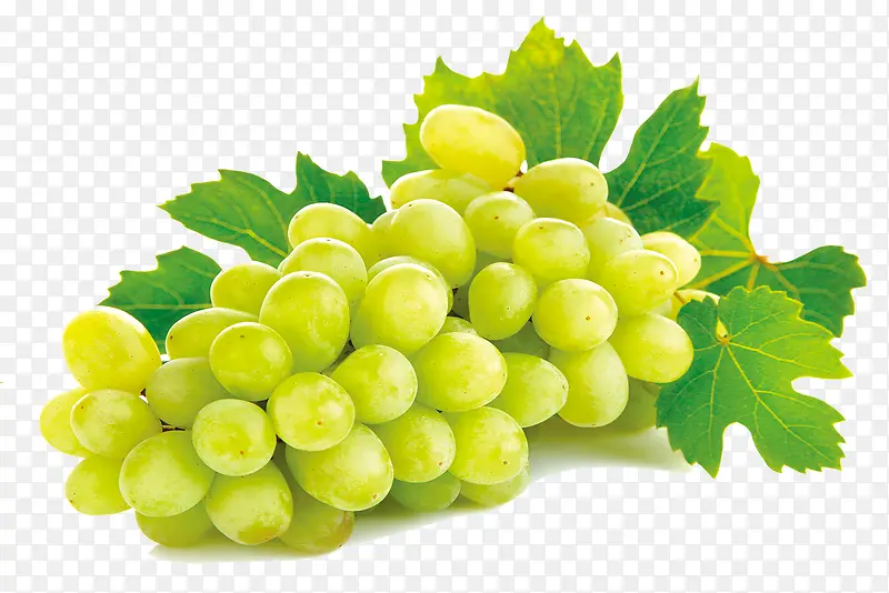 绿葡萄