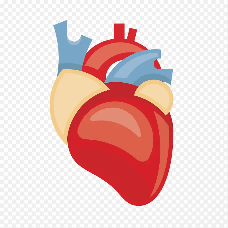 矢量卡通手绘医学心脏模型免抠图