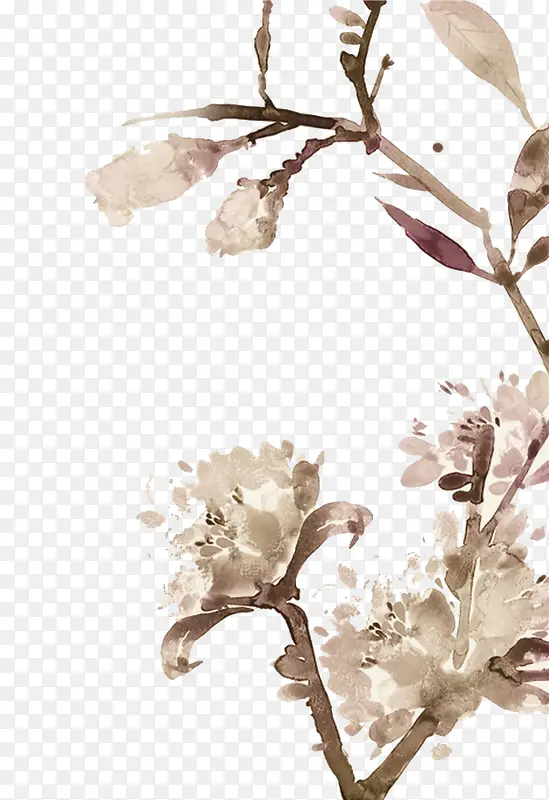 花卉PNG图片素材下载_图片编号qoamkmgq-免抠素材网