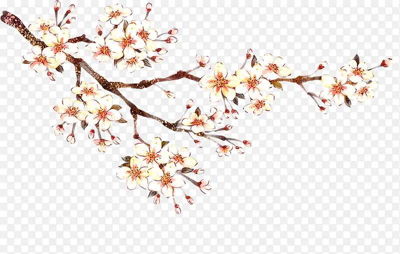 免抠树枝梅花装饰