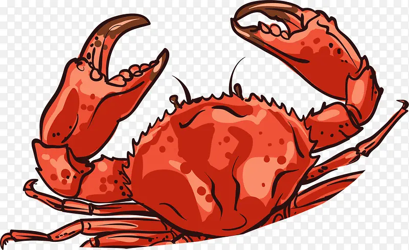 手绘大型红色大闸蟹