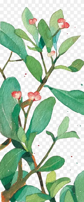 手绘植物PNG图片素材下载_图片编号ynnxdvoy-免抠素材网