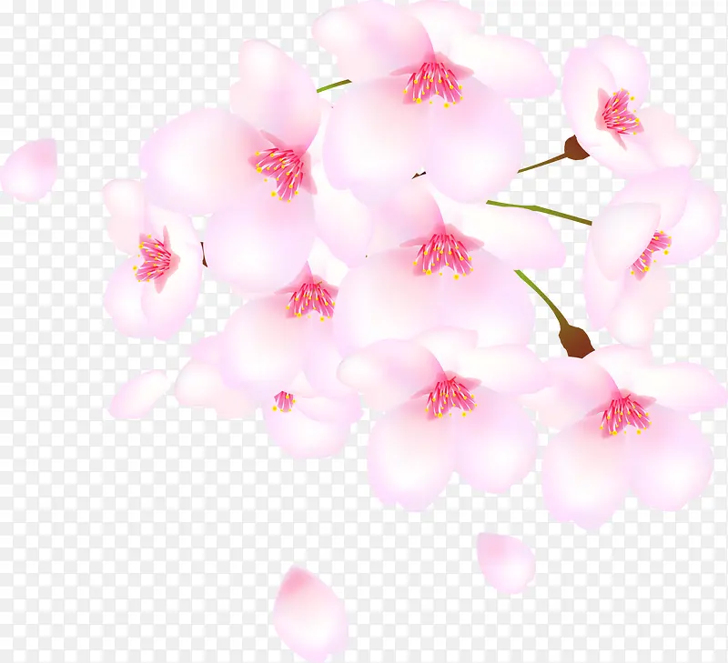 PNG花蕾桃花瓣