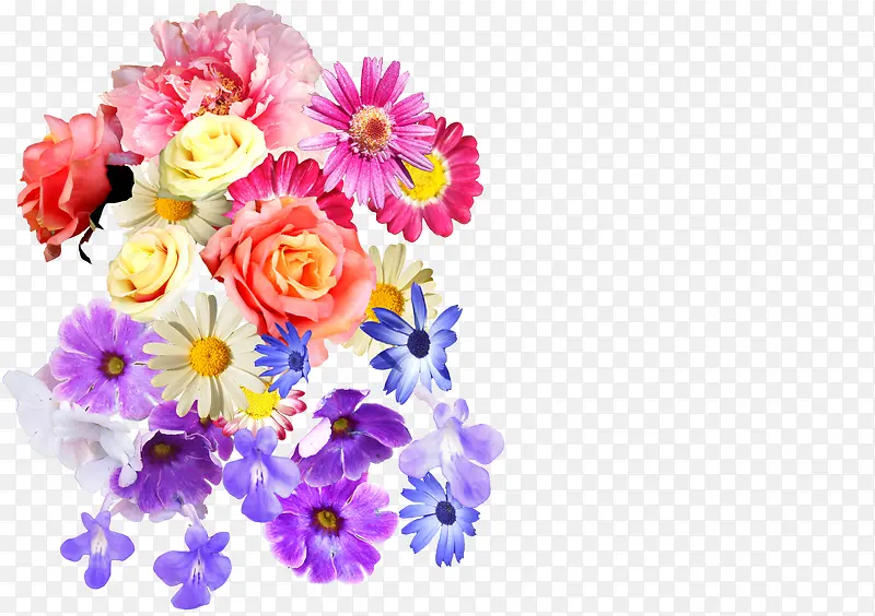 日式花朵花瓣