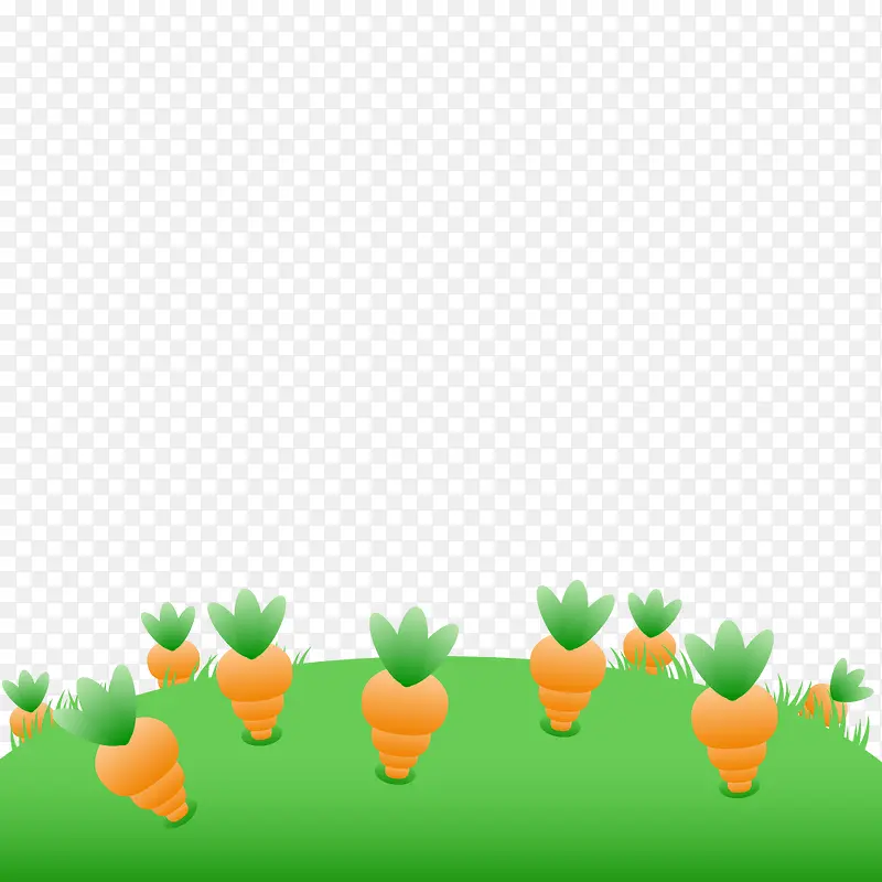 长在草地上的胡萝卜