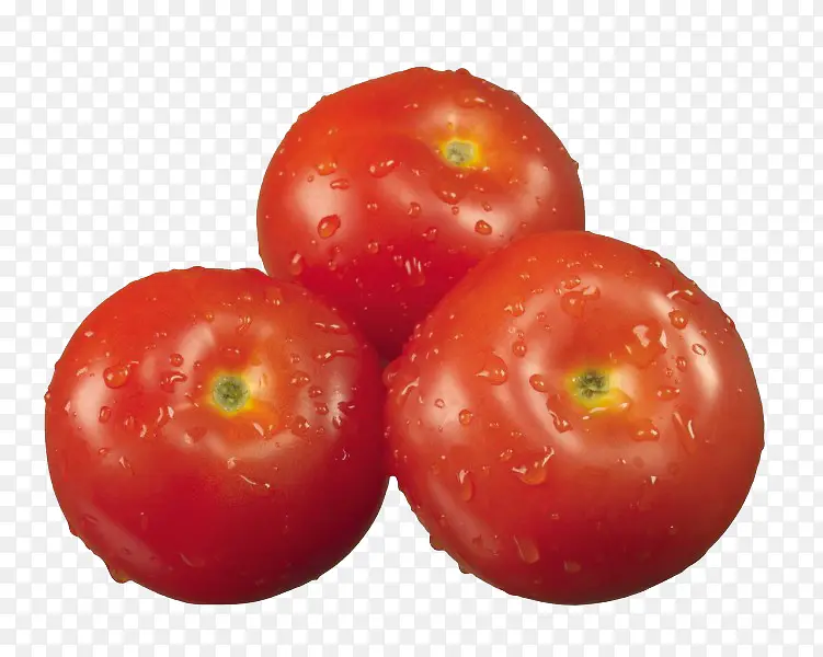 带水珠的番茄