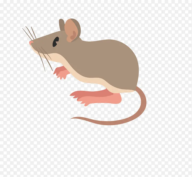 灰色手绘的小老鼠