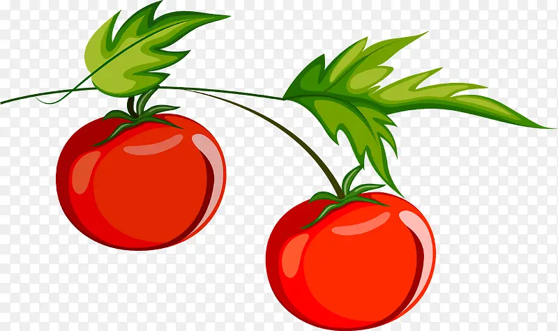 卡通手绘蔬菜装饰海报设计番茄