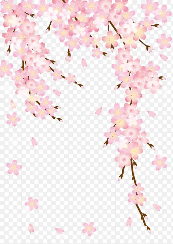粉色春季美丽桃花