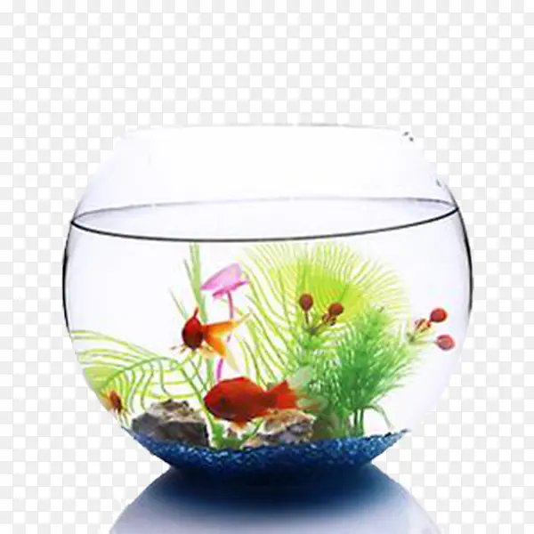 装饰图案彩色水草和鱼在鱼缸里