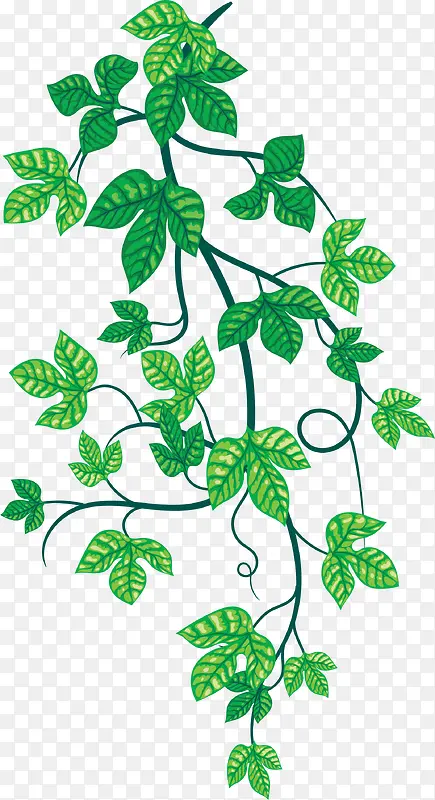 卡通绿色树叶藤蔓装饰