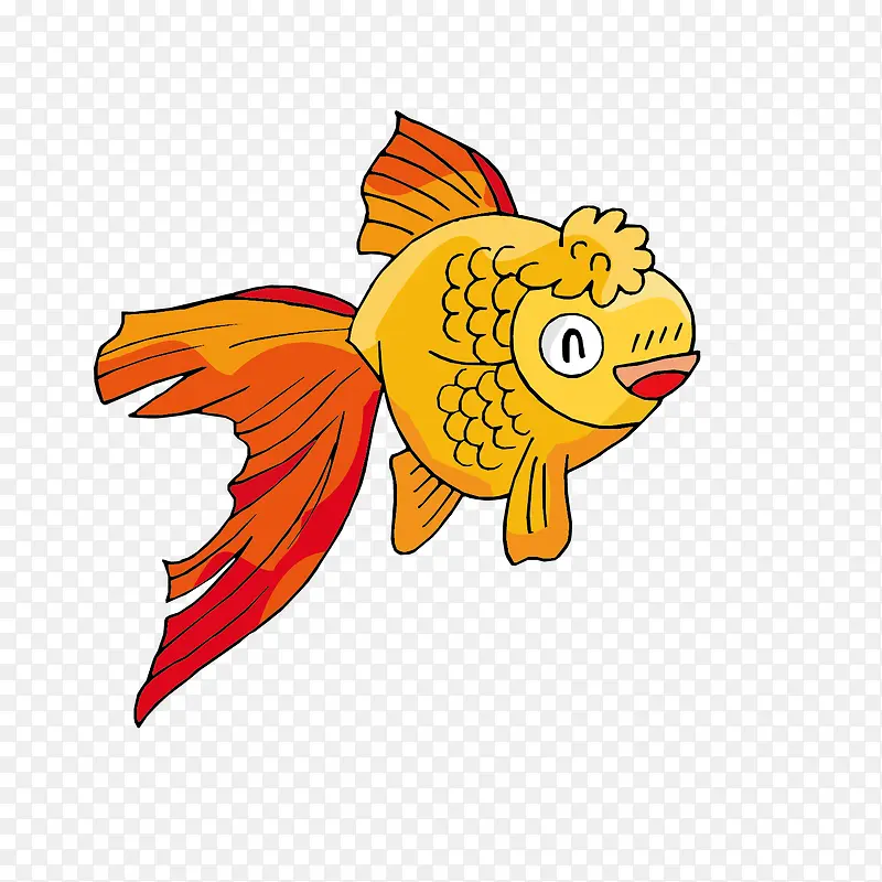 红尾金鱼