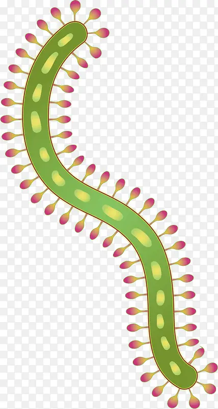 矢量图绿色细菌弯曲细胞