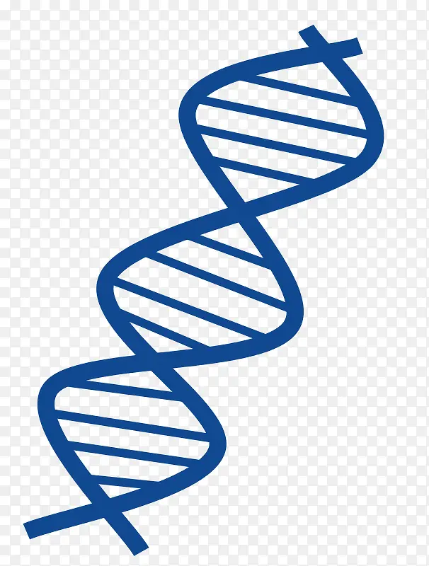蓝色DNA平面图
