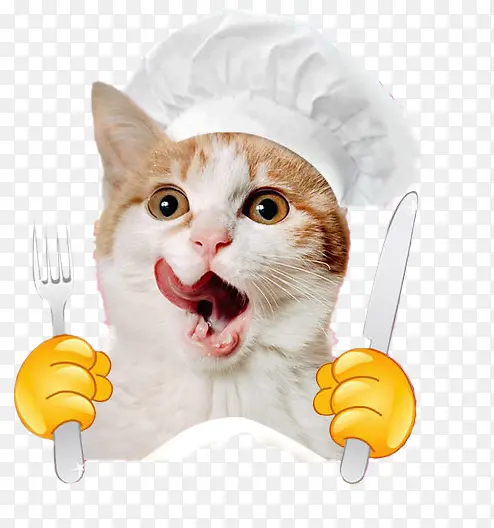 可爱西餐刀叉猫咪