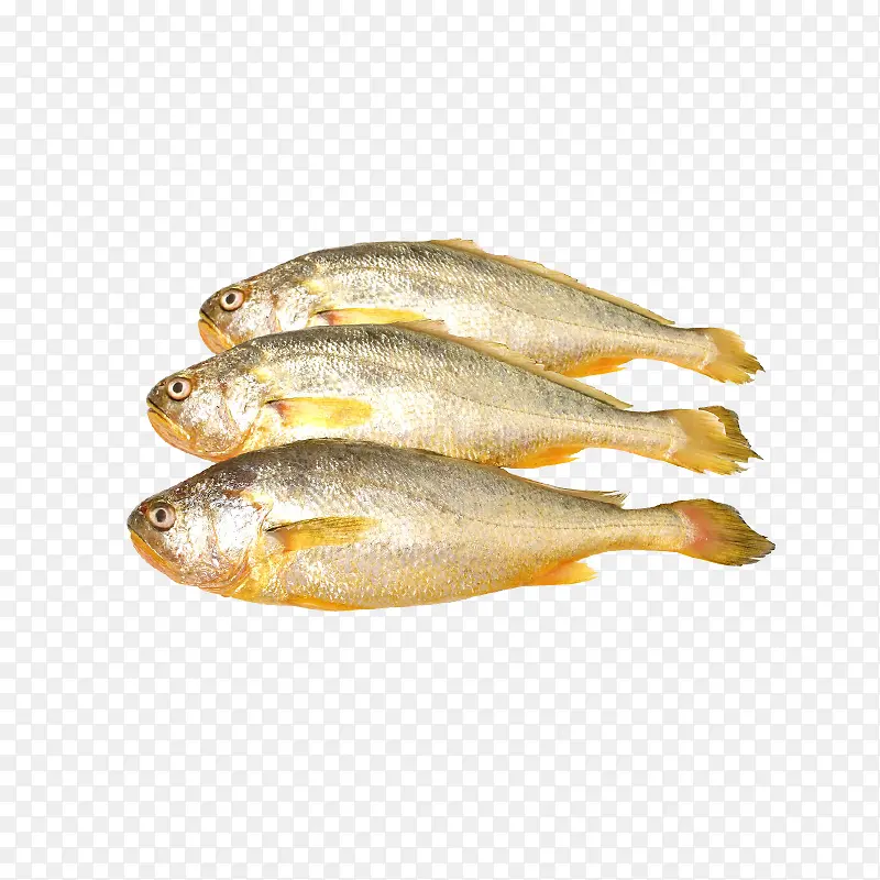 鱼 