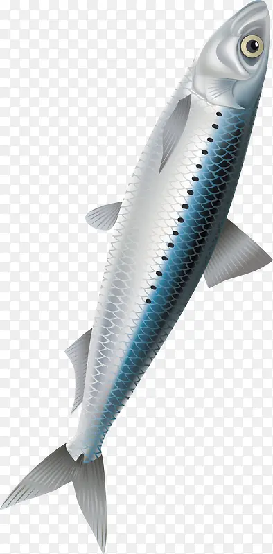 带鱼装饰设计图案精美