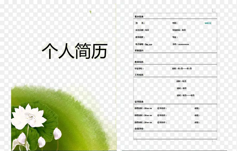荷花个人简历模板