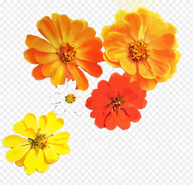 手绘花朵
