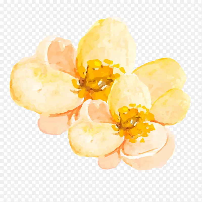 黄色花朵手绘水彩花朵设计素材