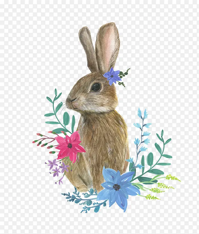兔子和花
