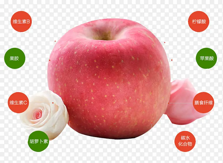 苹果营养成分