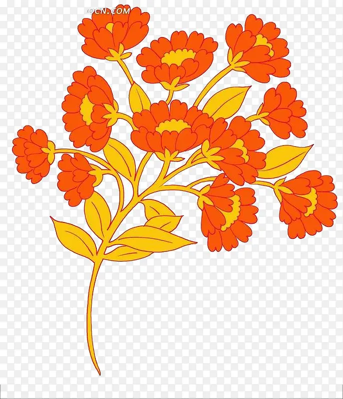 鲜艳的橙色花团