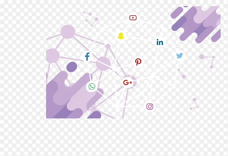紫色斜纹社交网络