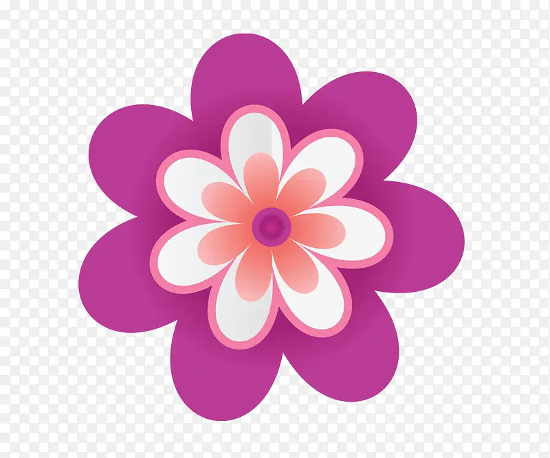 规则六角形紫红色小花