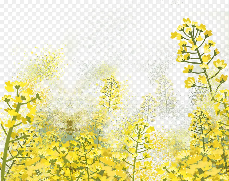 春天风景插画手绘油菜花插图
