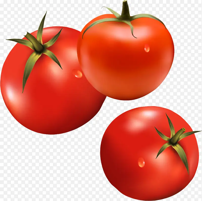 西红柿蔬菜素材