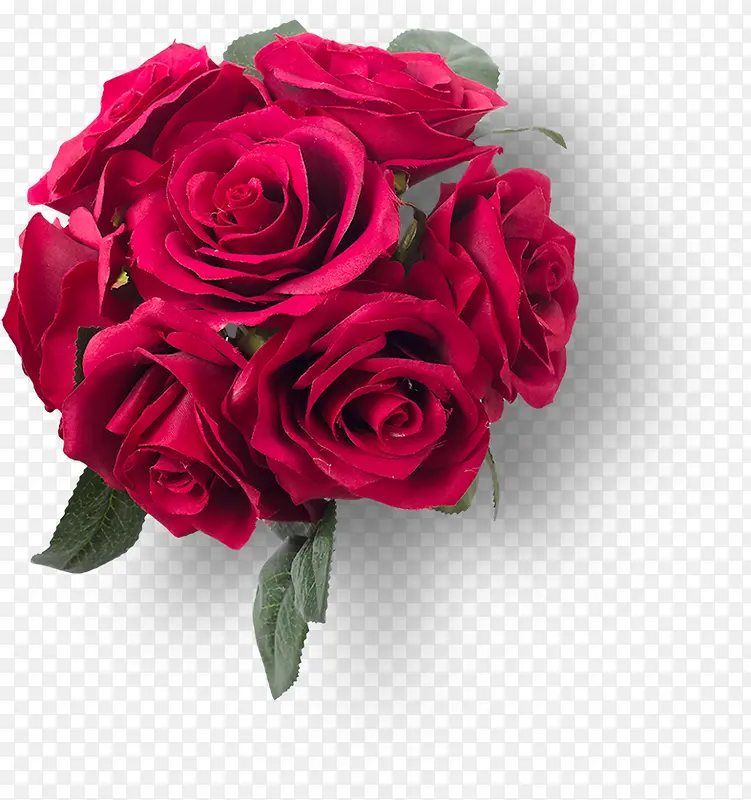 实物七朵红色玫瑰花
