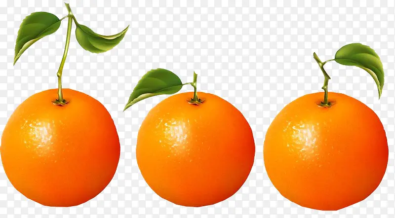 三个柳橙图片素材