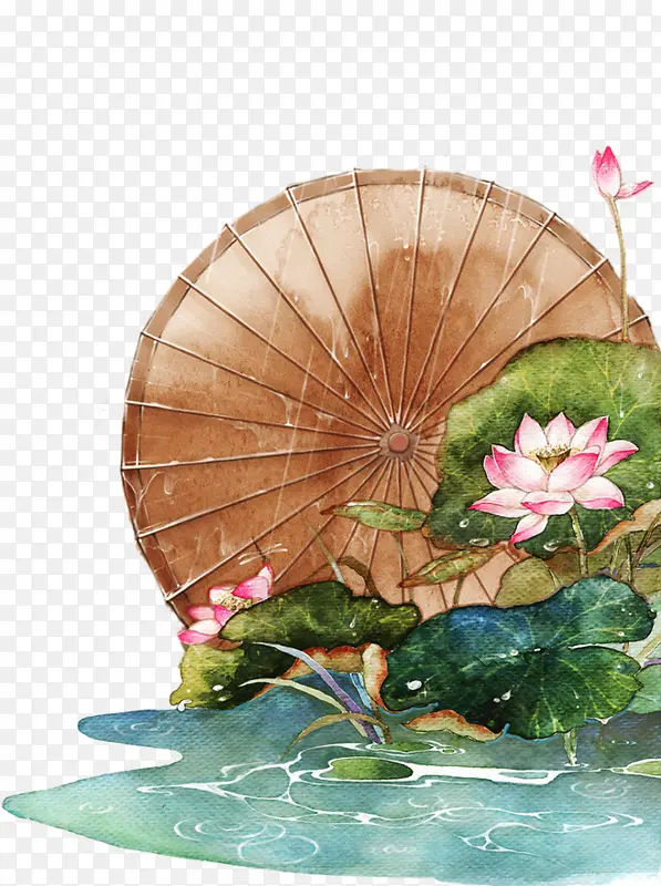水彩荷花