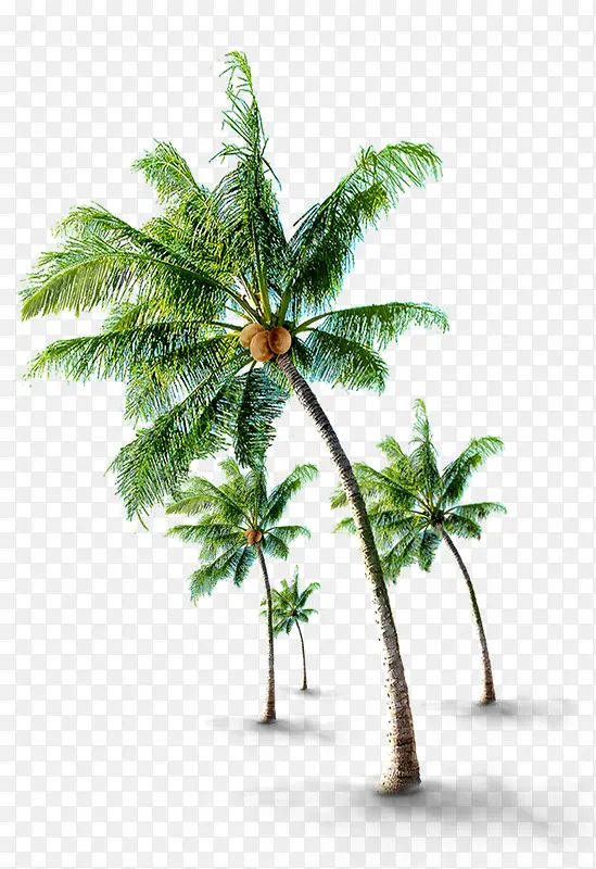 椰树卡通旅游海岛热带