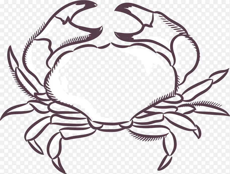 素描白色螃蟹