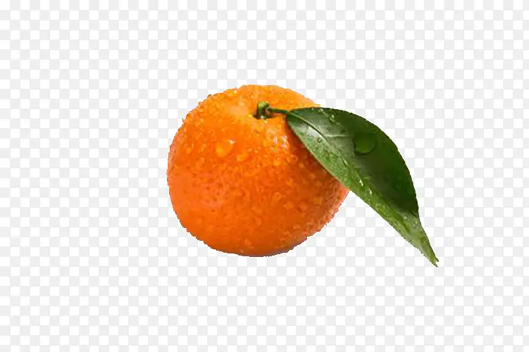 诱惑人的橘子