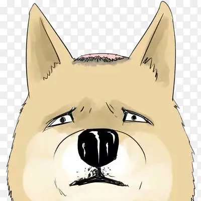 可怜的秃顶小狗
