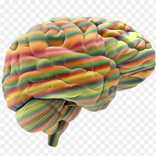 平面立体艺术大脑